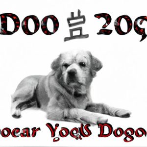 2006 là năm con gì: Tìm hiểu về năm con chó trong lịch Trung Quốc